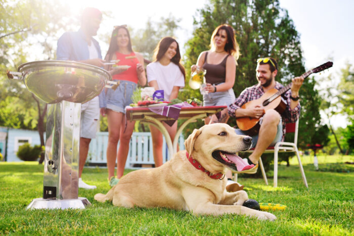 BBQ hazards for pets