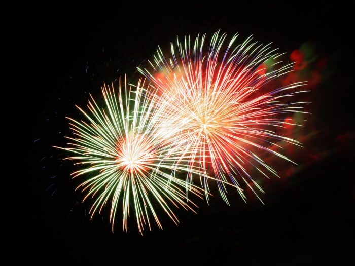 Helping Pets Stay Calm During Fireworks