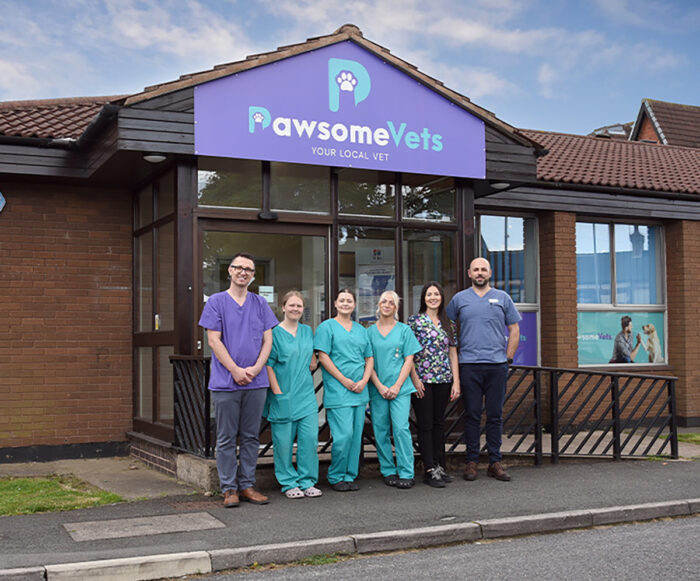 We are Pawsome Vets Sutton in Ashfield - Independent, 5-star Rated Veterinary Care